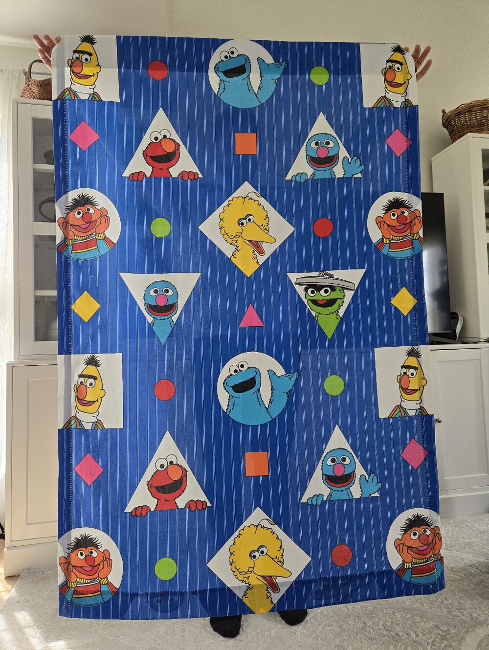 Pair (2) Vintage 1990s Sesame Street Character Curtain Panels
